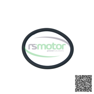 OEM Original Round Sealing Ring for MWM RS-01180359 for Natural Gas Engine New Machinery Parts - Product Image 3