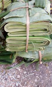 FEUILLES DE BANANE CONGELÉES DU VIETNAM DE L'EXPORTATION DE BANANE VERTE FRAIS DE HAUTE QUALITÉ - Product Image 2