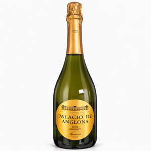Vin mousseux blanc semi-doux Palacio de Anglona Airen & Tempranillo 9,5% ABV Vin mousseux espagnol 750ml - Product Image 1