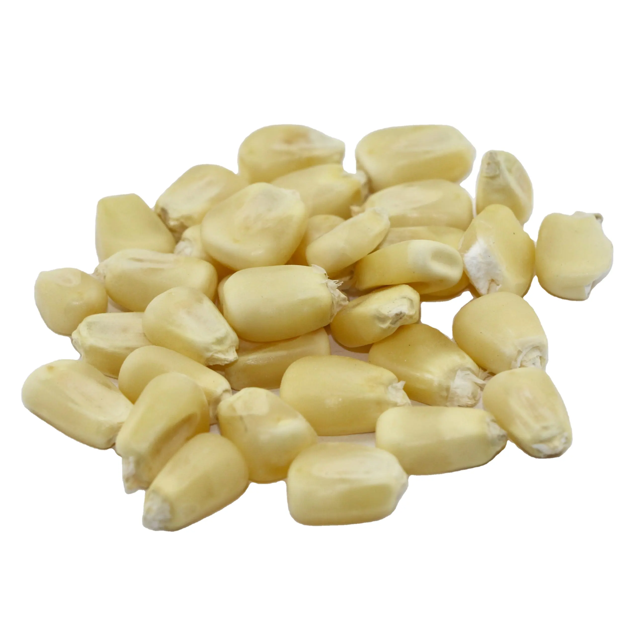 1バルクGMO/非GMO黄色および白トウモロコシ穀物、トウモロコシミール、トウモロコシ粉、小麦粉輸出業者のサプライヤー