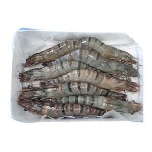 Camarones Tigre Negros Frescos - Origen Sostenible y Responsable - Product Image 2