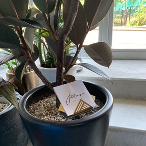 Elegent Silver <b>Card</b> Display Stand Beautiful Accent Piece for Business <b>Cards</b> Home Office or Party Table Setup - Product Image 5