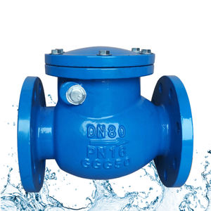 <span class=keywords><strong>Valve</strong></span> non-<span class=keywords><strong>retour</strong></span> malléable GGG40 à bride oscillante ANSI classe 125 DIN PN16 BS JIS DN50-DN300 pour système gaz résilient personnalisé - Product Image 4