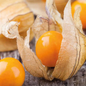 Graines de raisin brésiliennes Inca Berry, fruit ornemental comestible et médicinal, fournitures de jardinage - Product Image 4