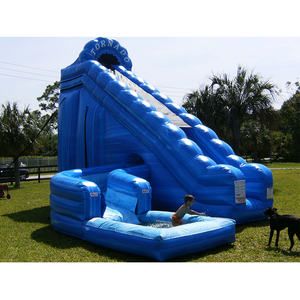Lớn giá rẻ hồ bơi Slide Inflatable thư bị trả lại nhà hành động không khí trượt nước để bán - Product Image 4