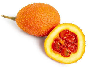 NATURAL FROZEN GAC <b>FRUIT</b> PUREE / PREMIUM QUALITY / BULK SUPPLY FOR EXPORT AND INDUSTRIAL USE - Product Image 3