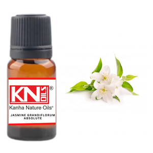 Kanha Nature Oils Le plus grand fabricant réputé d'Inde offre JASMINE GRANDIFLORUM ABSOLUTE Huile essentielle de noix de coco en gros - Product Image 1