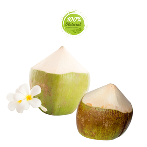 Noix de coco pelée au diamant pour Keto Dieters Produit agricole de qualité supérieure - Product Image 2