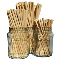 Pailles en bambou bio avec logo personnalisé et brosse en noix de coco, biodégradables et réutilisables, longueur 200 mm, de Eco2go Vietnam