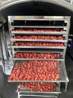 Fresas Liofilizadas Premium a Granel, Refrigerio de Fruta Crujiente Natural, Envasado al Vacío, Venta al por Mayor OEM - Sra. Tarina