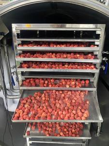 Fraises lyophilisées de qualité supérieure en vrac, collation de fruits naturels croustillants, emballées sous vide, vente en gros OEM - Mme Tarina - Product Image 4