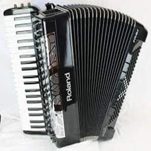 Acordeón de audio profesional R****o-land Fr-8x, piano de video e iluminación, más vendido - Product Image 1