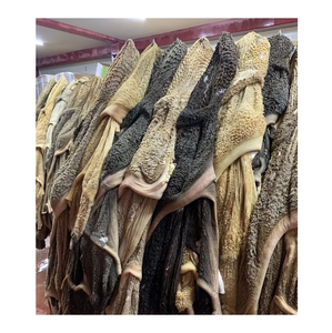 Vente en gros bon marché Meilleure qualité de tripes de bœuf vert cru à vendre Exportations dans le monde entier - Product Image 6