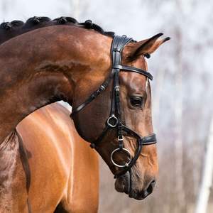 บังเหียนหนังอัจฉริยะสำหรับการแข่งขันคุณภาพสูงคิ้วเป็นคลื่นคริสตัลผลิตภัณฑ์ม้านไมค์สวมใส่สบาย - Product Image 3