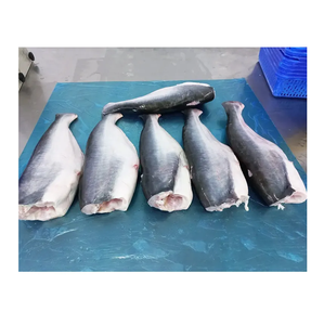 Pangasius (Basa) Congelado – Producto de Mariscos Premium para Mercados Mayoristas y de Exportación - Product Image 4