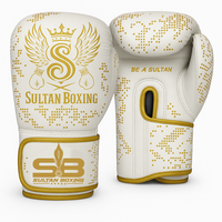 Gants d'entraînement Sultan Boxing personnalisés de qualité supérieure en PU/cuir OEM/ODM vente en gros de matériel de boxe et de protection