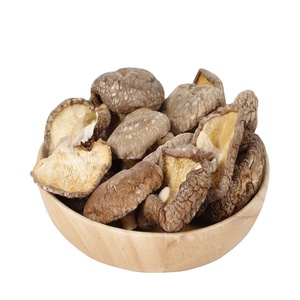 Exportadores de Champiñones Secos Sazonados, Champiñones <span class=keywords><strong>Shiitake</strong></span> Cultivados Marrones de Alta Calidad - Product Image 5