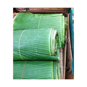 Feuille de bananier fraîche congelée-Enveloppes alimentaires durables en feuille de bananier congelée-100% Produits naturels en feuilles de bananier congelées Agriculture - Product Image 1
