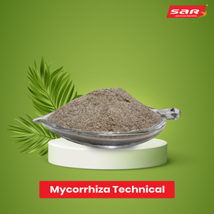 Mycorrhiza kỹ thuật bột gốc cộng sinh biofertilizer cho chất dinh dưỡng hấp thu tăng trưởng thực vật và đất cải thiện sức khỏe - Product Image 2