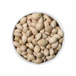 Emballage de style en vrac Matériau de couleur Ventes à moitié ouvertes naturelles Noix de ginkgo - Product Image 3