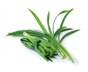 ใบพานดันแช่แข็ง IQF คุณภาพดีจากเวียดนาม สดใหม่ตามธรรมชาติ พร้อมส่งออก/ คุณคานะ - Product Image 1