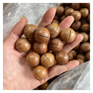 Deliciosa nuez MACCA de Vietnam, nuez MACCA asada seca para bocadillos energéticos e ingredientes para hornear, calidad de exportación a granel - Product Image 2