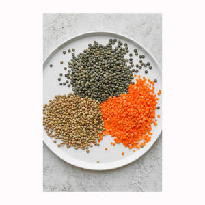 Lentejas Rojas a Precio Mayorista Lentejas Rojas, Lentejas Verdes, Lentejas Marrones - Product Image 5