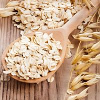 Avena Instantánea Orgánica de las Tierras Altas al por Mayor, Baja en Carbohidratos, 13% de Grasa, Caja de 230g, Desayuno Saludable y Fresco para Adultos, Preparación Rápida