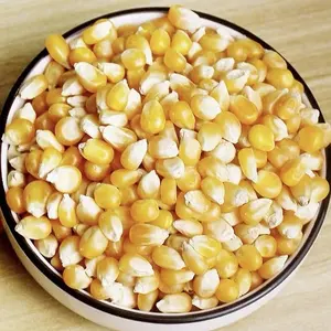 Großhandel IQF Frozen Sweet Yellow Corn Kernels zu verkaufen