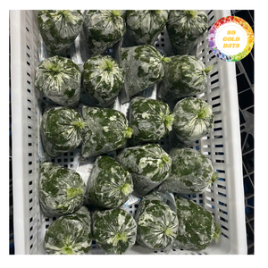 Hoja de Yuca Congelada de Primera Calidad de Vietnam, Calidad IQF para Exportación Global - Product Image 2