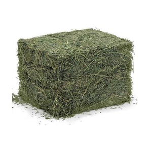 Compra heno de alfalfa fresco a la venta, ya disponible, ideal para alimentación de ganado y cuidado de animales pequeños - Product Image 3