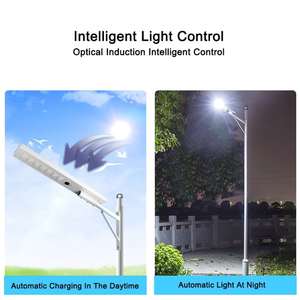 Luces Solares LED de 10W para Jardín, Mejoran la Estética del Paisaje, Clasificación IP65, Garantía de 10 Años, Incluye Batería - Product Image 2