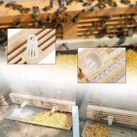 Collecteur de pollen en bois à cinq rangées, piège à pollen pour l'élimination des particules fines