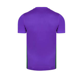 Camiseta de Rugby Transpirable con Diseño Personalizado a Precio Razonable, con Bordado e Impresión, 100% Poliéster, Colores Personalizados para Deportes de Equipo - Product Image 5