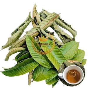 Feuilles de goyave vertes naturelles séchant par la machine pour la qualité d'exportation de fines herbes de thé du Vietnam - Product Image 1