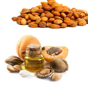 เมล็ดแอปริคอท | คุณภาพเกรดอาหารและสมุนไพรสำหรับผู้ซื้อต่างประเทศ - Product Image 1