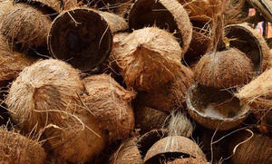 Cáscara de Coco Cruda en Oferta para Decoración y Carbón Vegetal Industrial - Product Image 6