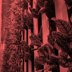 Fabrika kaynağı 40ft akıllı sebze MICROGREEN yetiştirme odası sera çiftlik konteyner AQUAPONIC hidroponik