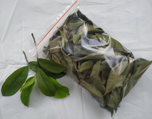 HOT: bajo precio de exportación Hojas de Guanábana secas naturales orgánicas de té de hierbas vietnamita de alta calidad para la mañana a granel al por mayor - Product Image 3