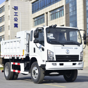 Shacman sagmoto x9s 1995 מונית/4*2 (עומס מרבי 5 טון; מהירות מרבית 105 קילומטר/שעה) דגם מוסמך - Product Image 1