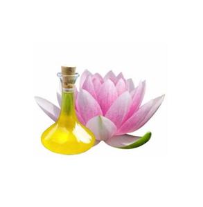 Aceite esencial de loto orgánico Natural puro 100%, precio al por mayor, extracto de flor de loto, aceite absoluto, aceite esencial multiusos - Product Image 6
