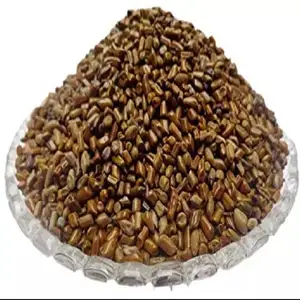 Clean Cassia Tora Seeds ready for export any part of the world