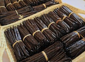 Vainas de Vainilla 100% Naturales de Gran Calidad +18 cm, Planifolia Seca 1Kg de la Región de SAVA, Madagascar, Cosecha de Vainilla para Exportación - Product Image 5