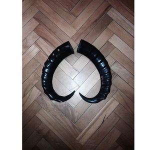 The Natural <b>Buffalo</b> <b>Horn</b> Best Quality in All Size Available - Product Image 5