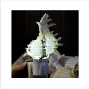 LUMIÈRE DE SOMMEIL CRÉATIVE EN COQUILLE DE MER LUMIÈRE DE SOMMEIL DE HAUTE QUALITÉ - Product Image 2