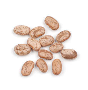 Vente en gros Jugo canneberge haricots rouges mouchetés haricots pinto au sucre pour conserves - Product Image 4