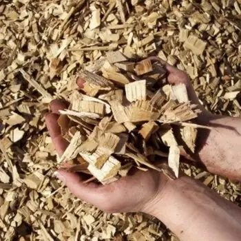 Grosir Pabrik CIP kayu Chip kulit pohon tanam pohon alami kulit kayu Vietnam CIP kayu campuran untuk dijual