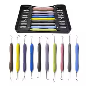 Kit de Restauración Dental Manual de 7 Piezas con Mango de Silicona, Instrumento de Relleno de Composite, Autoclavable, con Certificación CE - Product Image 2