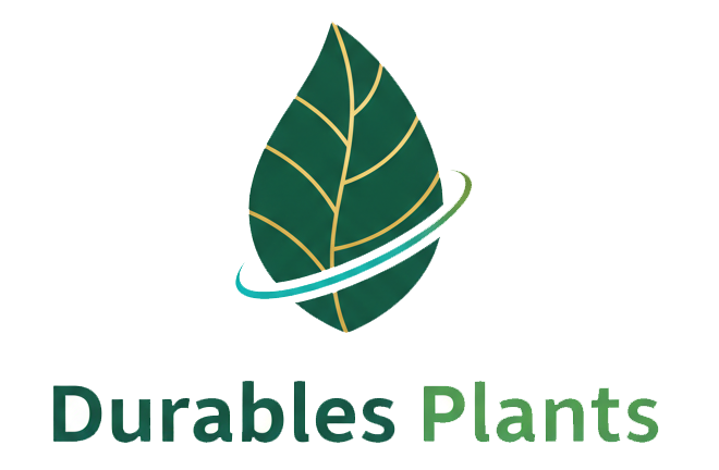 Durable plants sarl logo