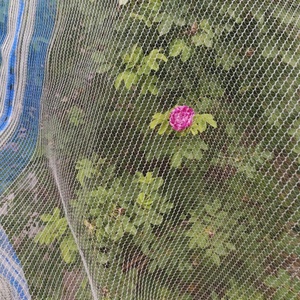 Giá rẻ GIá chống mưa đá Net bảo vệ trái cây và cây trồng từ mưa đá thiệt hại - Product Image 5